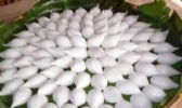 粉果金吒