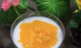 双皮奶