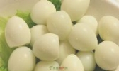 东南鹌鹑