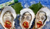 南澳牡蛎