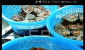 棉城鲎粿