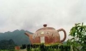 西岩山茶
