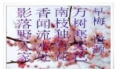 梅花