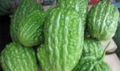 平海大顶苦瓜