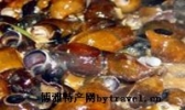 坑螺