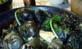 田螺香煲