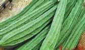 连州胜瓜