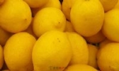 连南无核柠檬