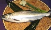 虎门水鱼