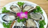 鲜沙井蚝