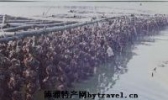 南山牡蛎