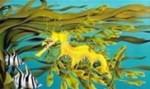 海龙