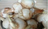 洛浦慈菇