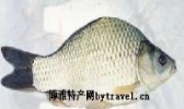 禺山鲫鱼