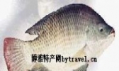 奥尼鱼