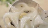 水棱角