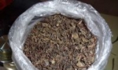 派潭白茶