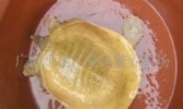 平南墨底鳖