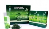 桂平西山茶