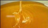 麻垌蜂蜜