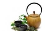 三叶香茶菜