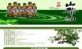 百色山茶油