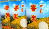 田东香米