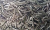 浪伏有机白毫茶