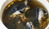 田七乌鸡汤