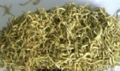 靖西金银花