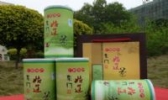 姑辽茶