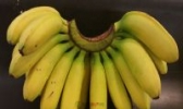 南宁香蕉