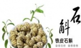 都峤山铁皮石斛