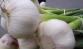 玉林香蒜
