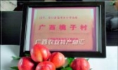 灵川桃子