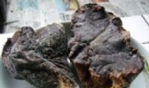 文桥腊胆肝