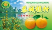 恭城椪柑