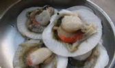 日月贝