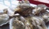 海南碳烤生蚝