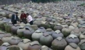 松溉健康醋