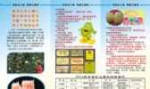 丰都三元红心柚