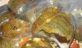 霸王螺