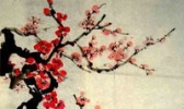 红梅