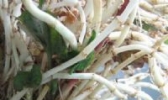 折耳根