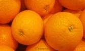 蓬安锦橙