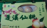 蓬溪仙桃