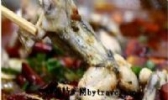 夹江麻辣烫