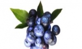 安仁蓝莓