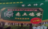 紫云绿壳土鸡蛋