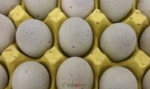 瓮安松花皮蛋